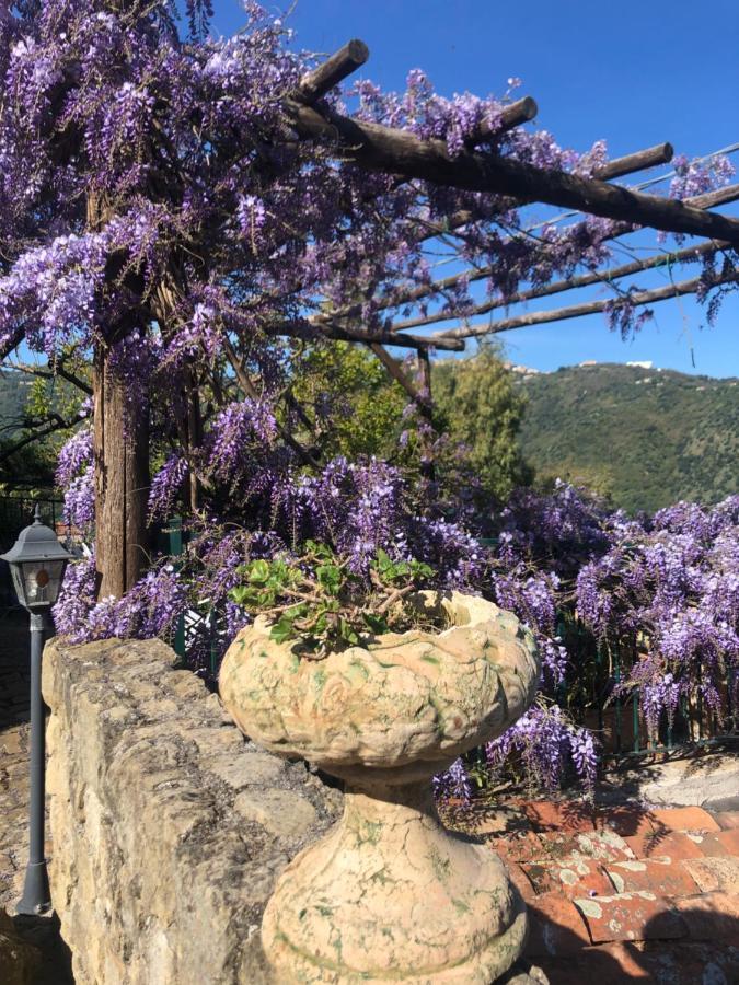 Ficarra San Noto Antica Residenza Di Caccia Bed & Breakfast エクステリア 写真